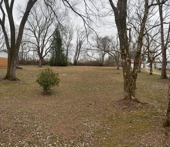 Lot 118-119 Oak Avenue, Somerset, KY 42501