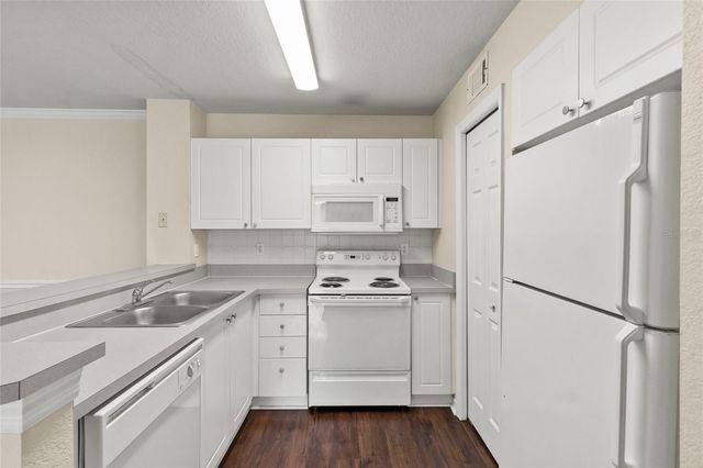 18106 PEREGRINES PERCH PLACE 5104, Lutz, FL 33558