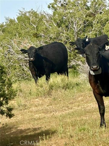 0 Bowen Ranch Road, Apple Valley, CA 92308