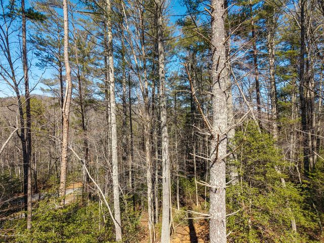112 Big Pine Hill, Blairsville, GA 30512