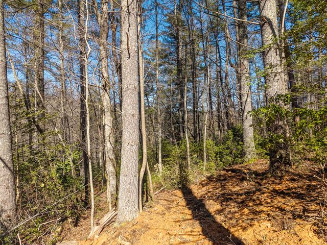 112 Big Pine Hill, Blairsville, GA 30512