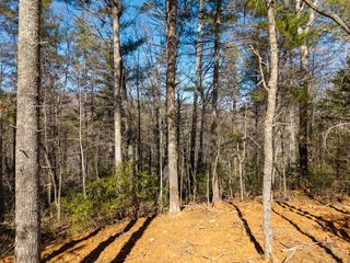 112 Big Pine Hill, Blairsville, GA 30512