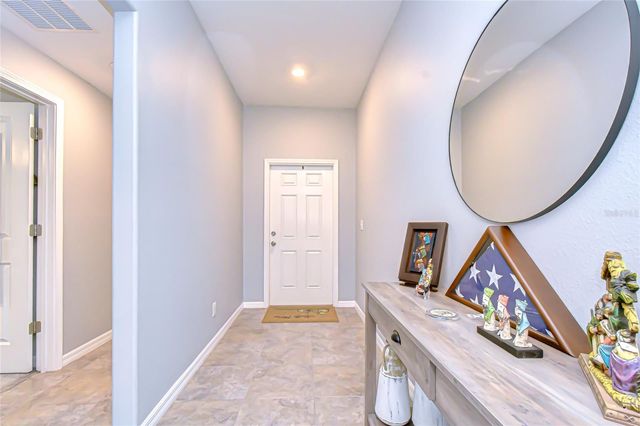 10115 PARADISE FISH DRIVE, Riverview, FL 33578