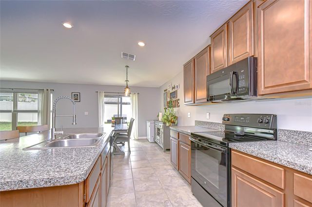 10115 PARADISE FISH DRIVE, Riverview, FL 33578