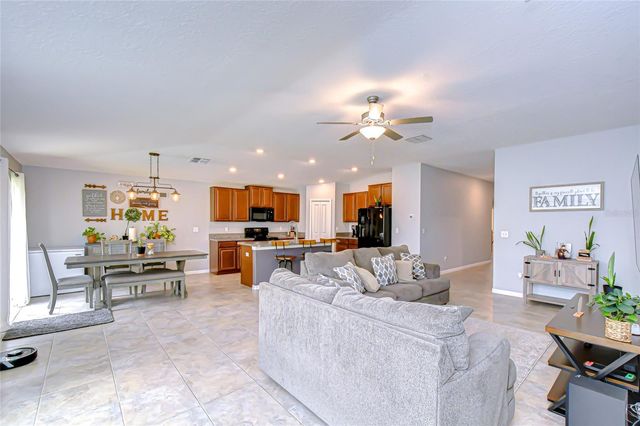 10115 PARADISE FISH DRIVE, Riverview, FL 33578