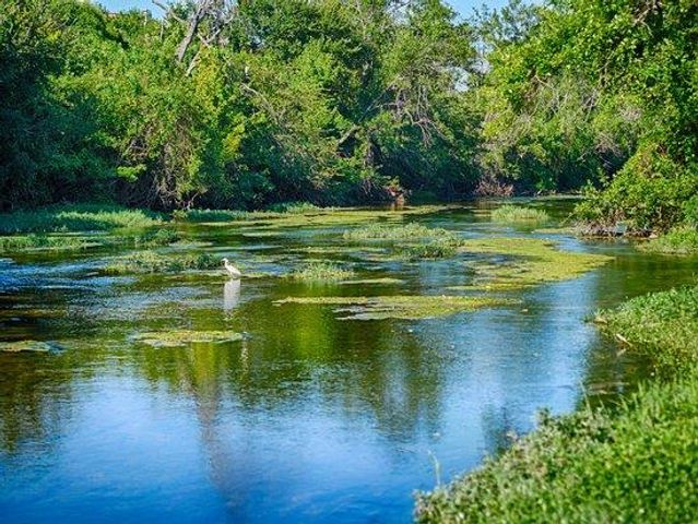 1412 Paxton LN, Florence, TX 78633