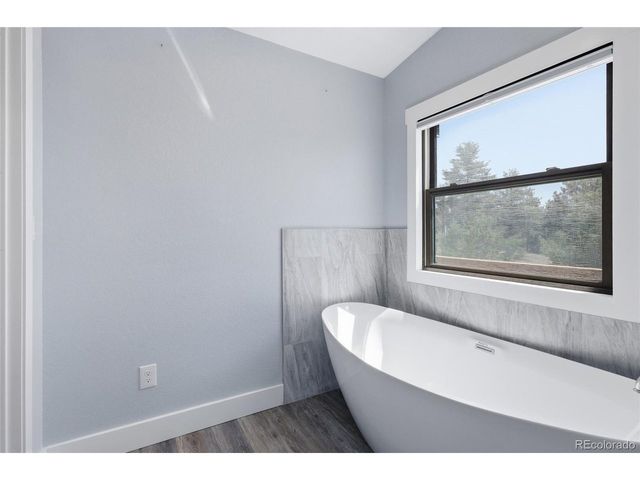 3000 Wildhorn Rd, Florissant, CO 80816