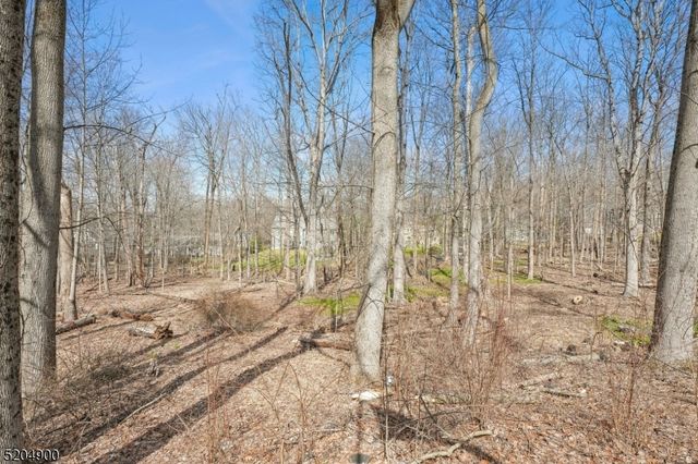 31 Branko Road, Berkeley Heights Twp., NJ 07922