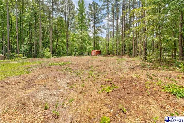 127 Branchview Road, Hartsville, SC 29550