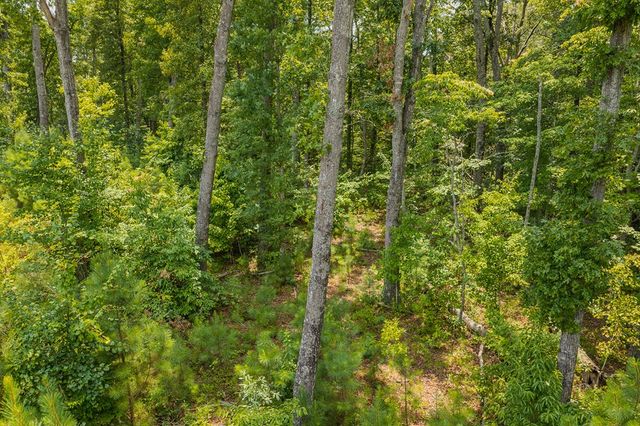 Lot 166 Pinnacle Drive, Ellijay, GA 30540