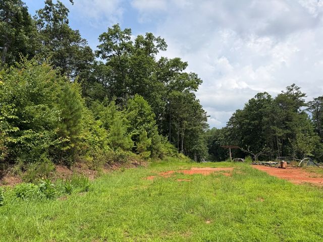 Lot 166 Pinnacle Drive, Ellijay, GA 30540