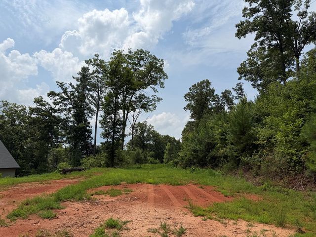 Lot 166 Pinnacle Drive, Ellijay, GA 30540