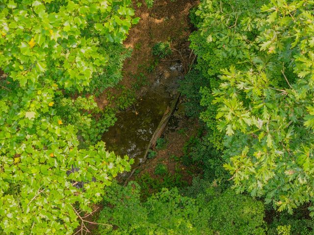 Lot 166 Pinnacle Drive, Ellijay, GA 30540
