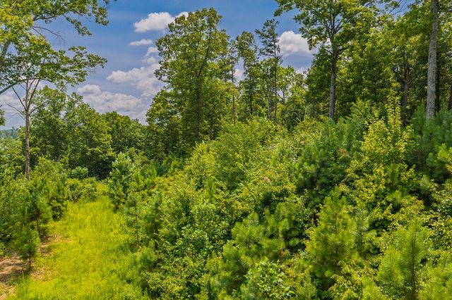 Lot 166 Pinnacle Drive, Ellijay, GA 30540