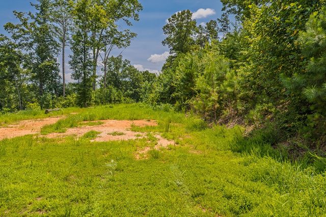 Lot 166 Pinnacle Drive, Ellijay, GA 30540