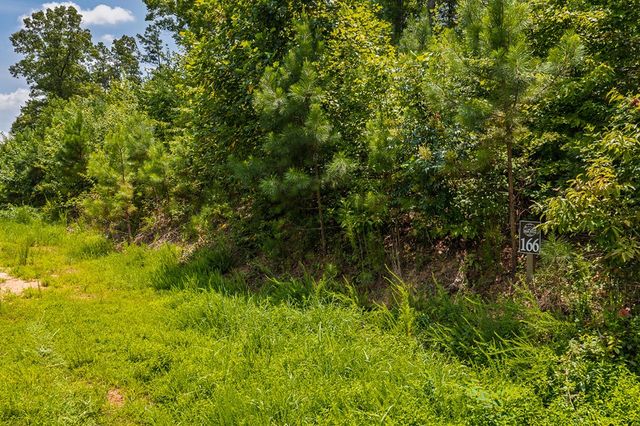 Lot 166 Pinnacle Drive, Ellijay, GA 30540
