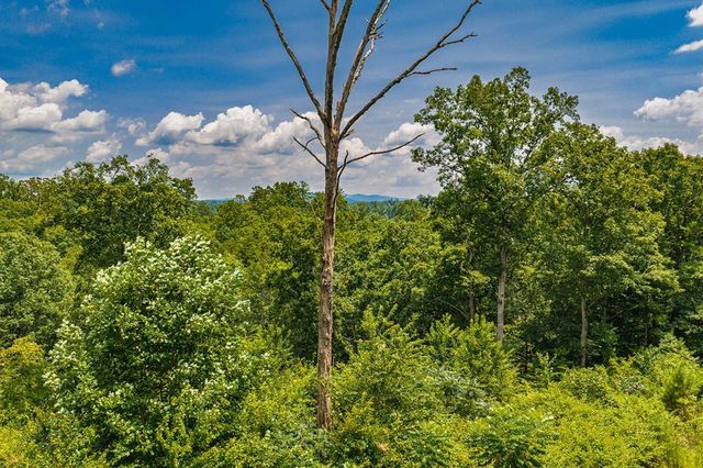 Lot 166 Pinnacle Drive, Ellijay, GA 30540