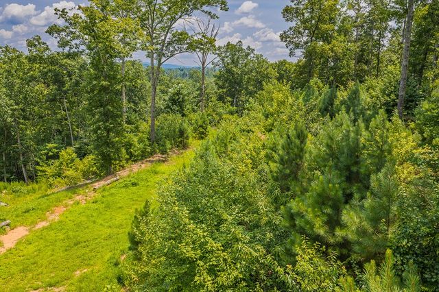Lot 166 Pinnacle Drive, Ellijay, GA 30540