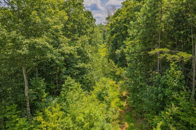 Lot 166 Pinnacle Drive, Ellijay, GA 30540