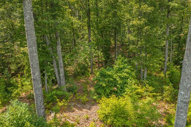 Lot 166 Pinnacle Drive, Ellijay, GA 30540