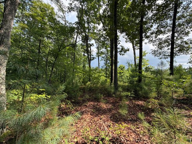 Lot 166 Pinnacle Drive, Ellijay, GA 30540