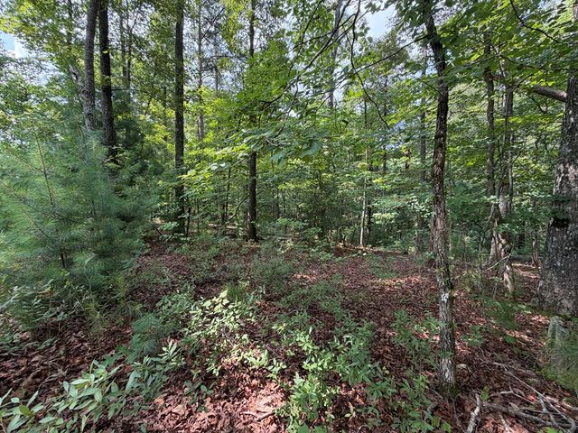 Lot 166 Pinnacle Drive, Ellijay, GA 30540