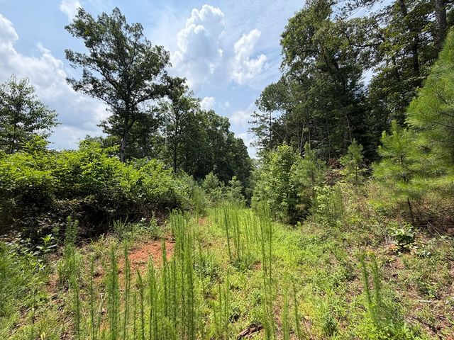 Lot 166 Pinnacle Drive, Ellijay, GA 30540