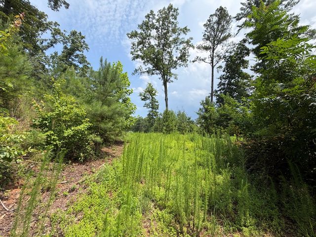Lot 166 Pinnacle Drive, Ellijay, GA 30540
