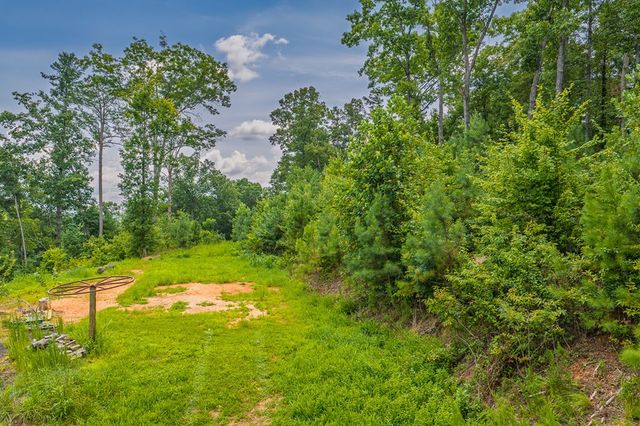 Lot 166 Pinnacle Drive, Ellijay, GA 30540
