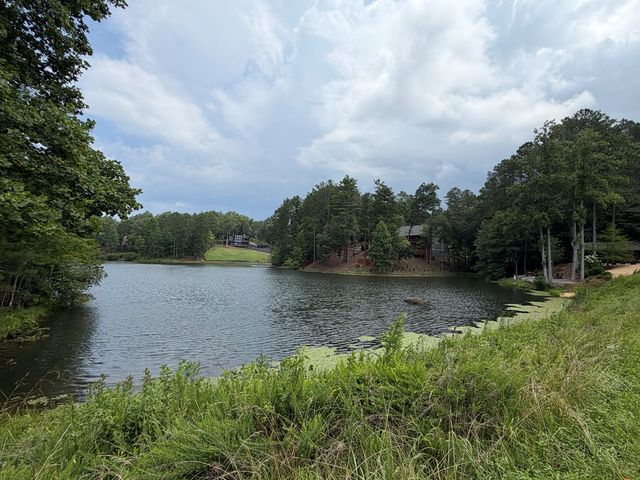 Lot 166 Pinnacle Drive, Ellijay, GA 30540
