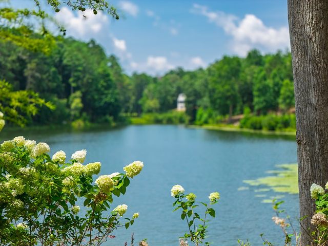 Lot 166 Pinnacle Drive, Ellijay, GA 30540