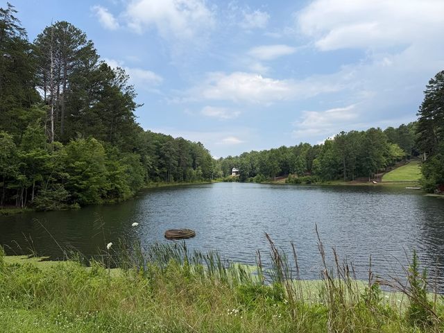 Lot 166 Pinnacle Drive, Ellijay, GA 30540