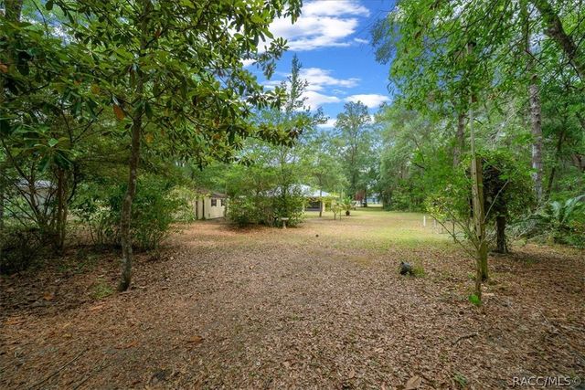 10190 N Athenia Drive, Citrus Springs, FL 34434
