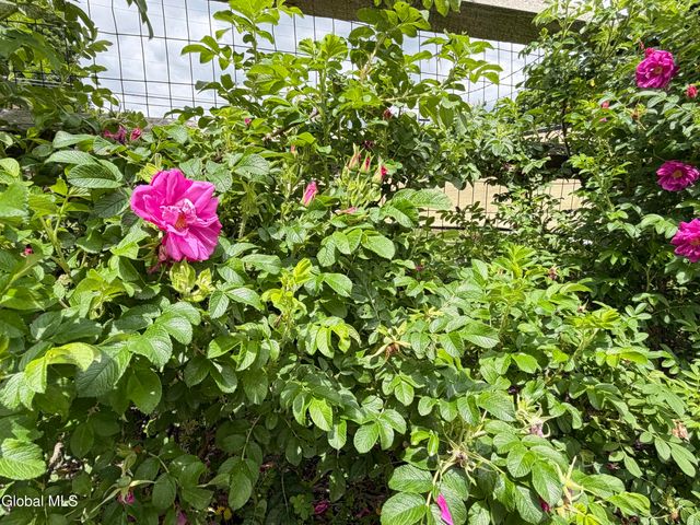 76 Spring Street, Cambridge, NY 12816