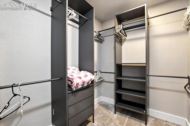 10088 Bison Valley Trail, Colorado Springs, CO 80908