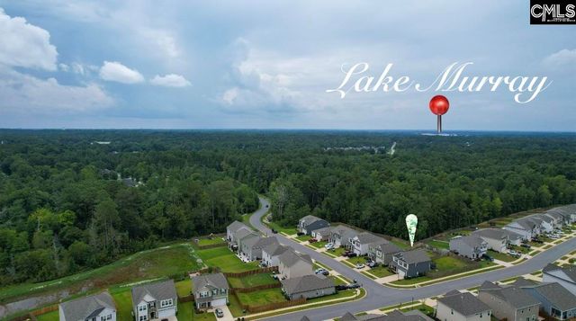 295 Chesapeake Drive, Chapin, SC 29036
