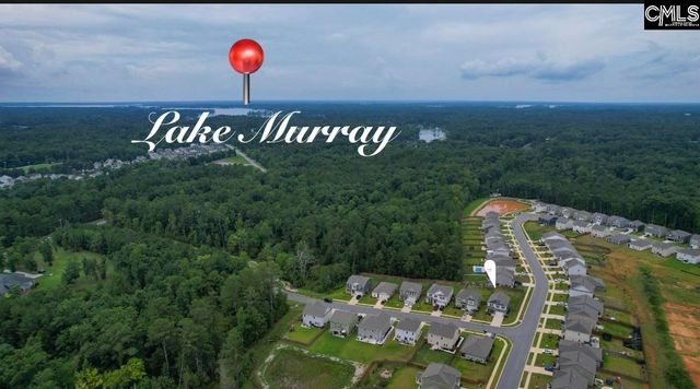 295 Chesapeake Drive, Chapin, SC 29036