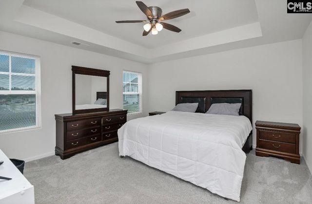 295 Chesapeake Drive, Chapin, SC 29036