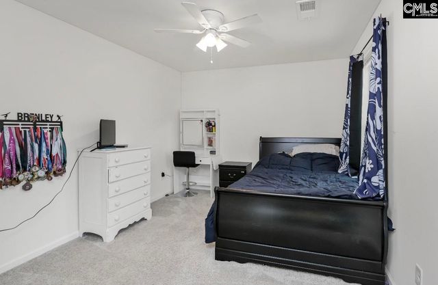 295 Chesapeake Drive, Chapin, SC 29036