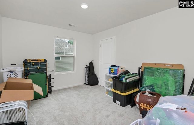 295 Chesapeake Drive, Chapin, SC 29036