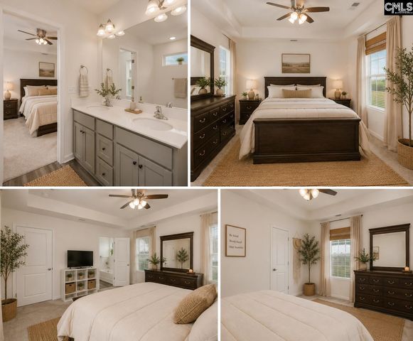 295 Chesapeake Drive, Chapin, SC 29036