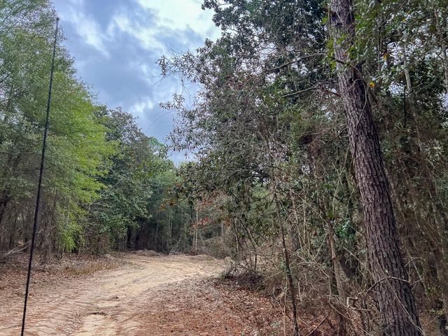 T-3 Highway 190, Newton, TX 75966