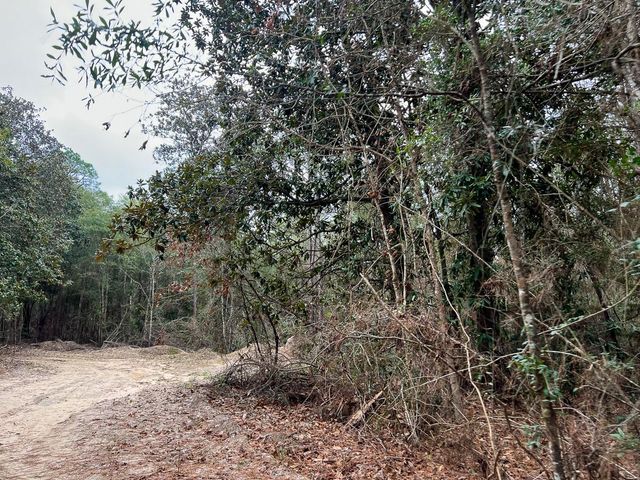 T-3 Highway 190, Newton, TX 75966