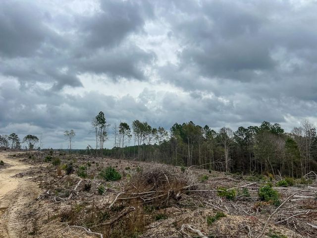 T-3 Highway 190, Newton, TX 75966