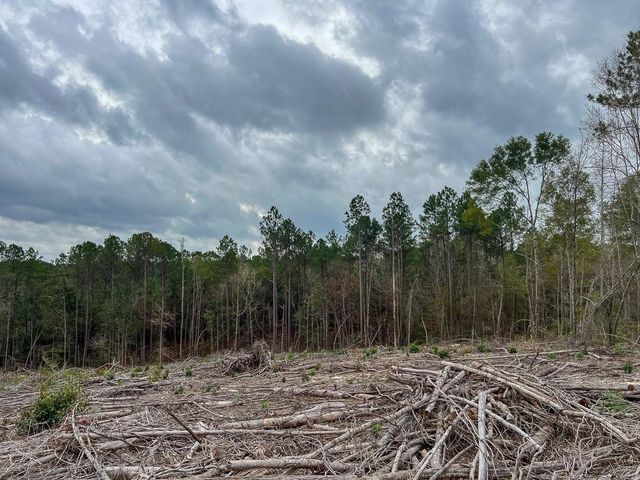 T-3 Highway 190, Newton, TX 75966