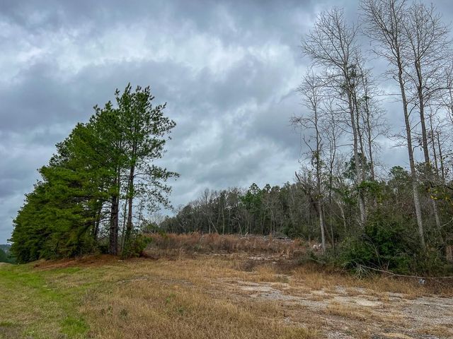 T-3 Highway 190, Newton, TX 75966