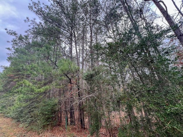 T-3 Highway 190, Newton, TX 75966