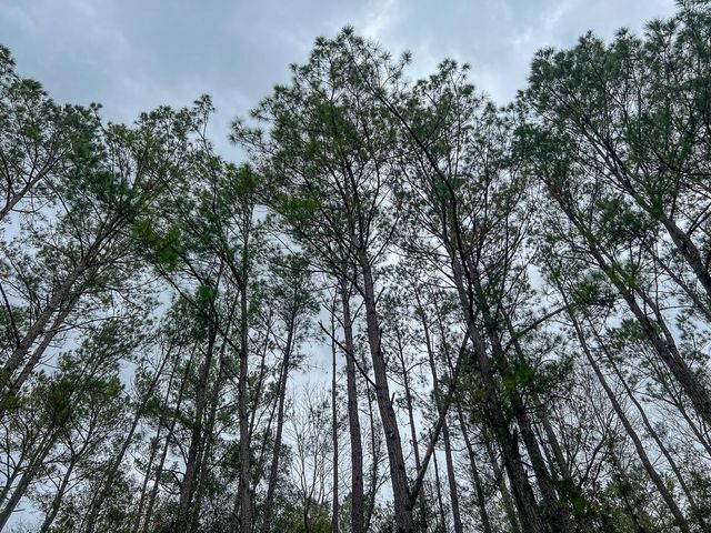 T-3 Highway 190, Newton, TX 75966