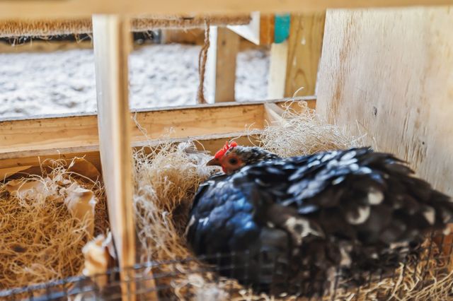 1277 Campbellsville Pike, Lynnville, TN 38472