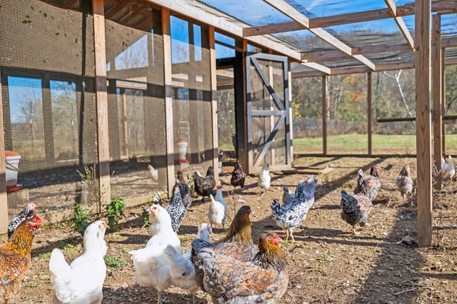 1277 Campbellsville Pike, Lynnville, TN 38472